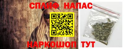 шишки Кинель
