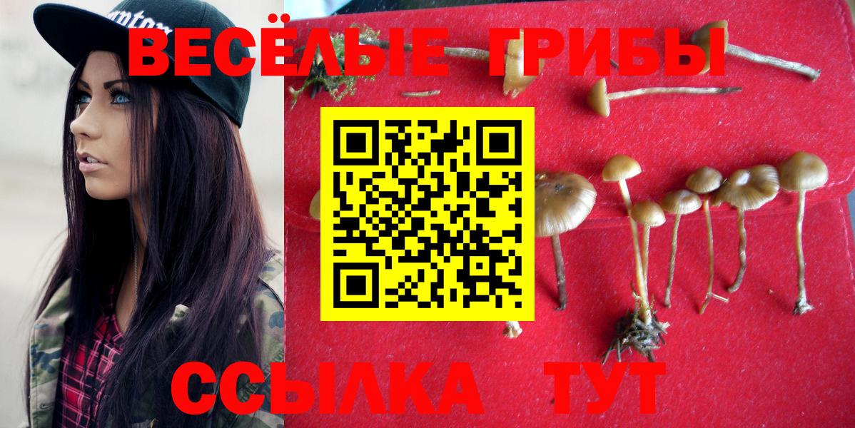 Галлюциногенные грибы прущие грибы Краснокаменск